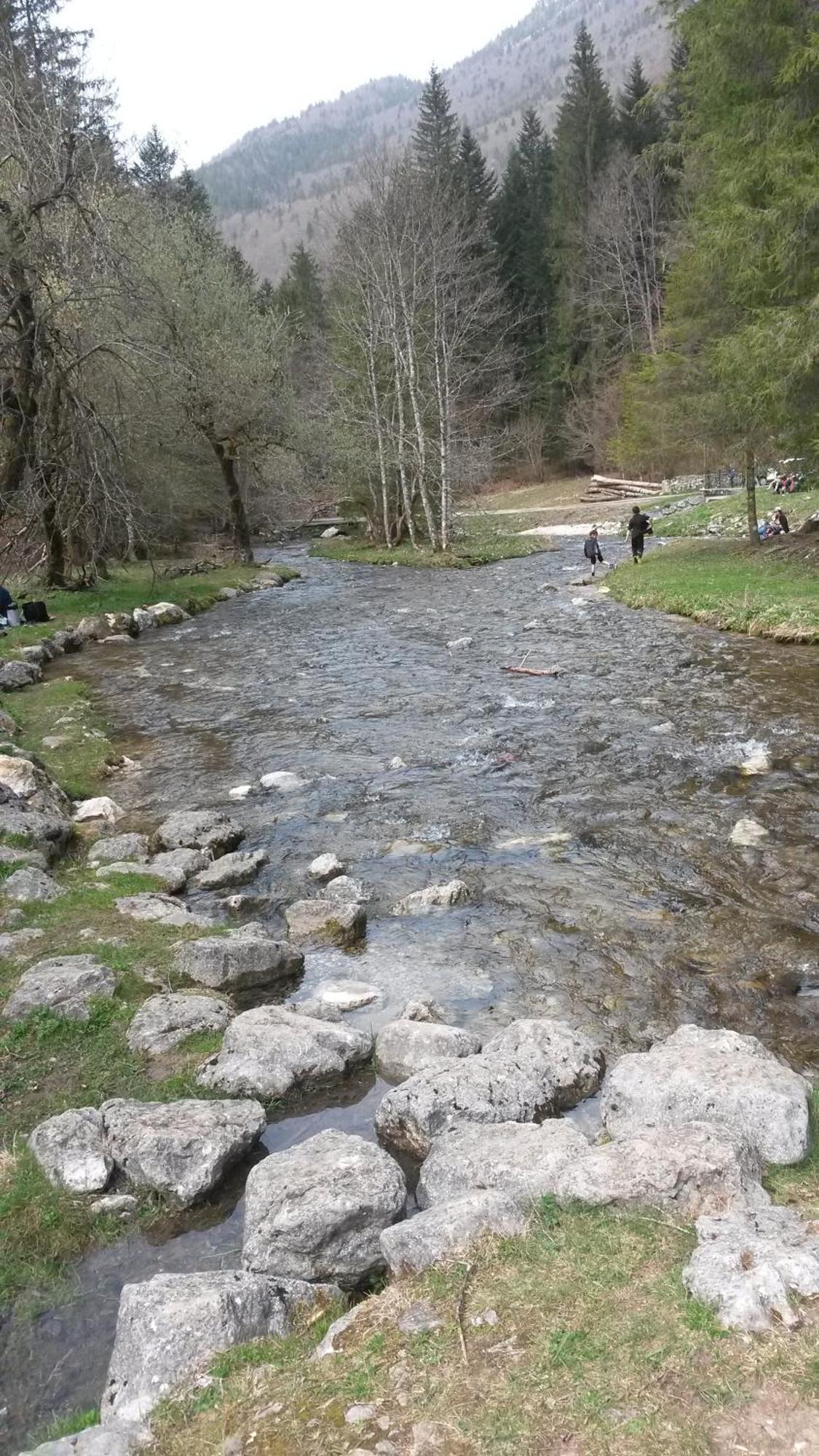 Les Tilleuls Saint-Jean-d'Avelanne Buitenkant foto